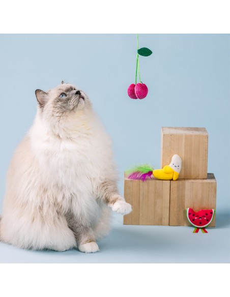 The Sweetest Bunch 3pc Cat Toy Set
