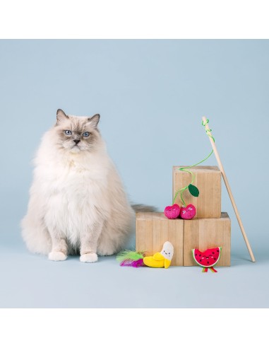 The Sweetest Bunch 3pc Cat Toy Set