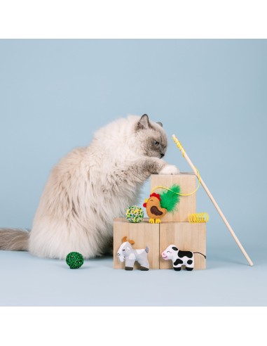 Pasture Pals 6pc Cat Toy Set