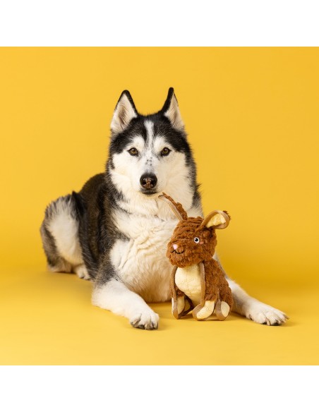 Ear To Be Hoppy Durable Plush Dog Toy