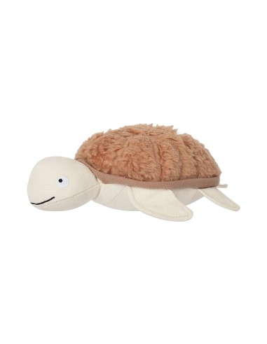 Out of My Shell Earth Friendly Dog