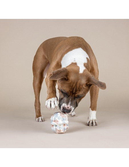 Geo-Metric Rubber Dog Toy