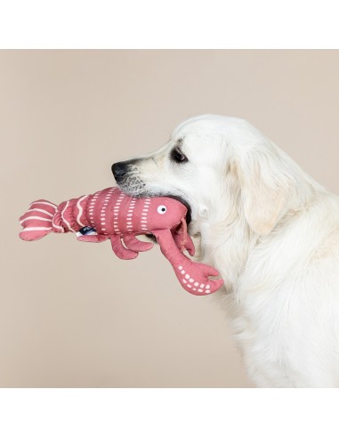 Claw it a Day Canvas Dog Toy