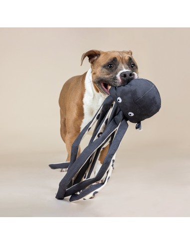 Inking About You Canvas Dog Toy