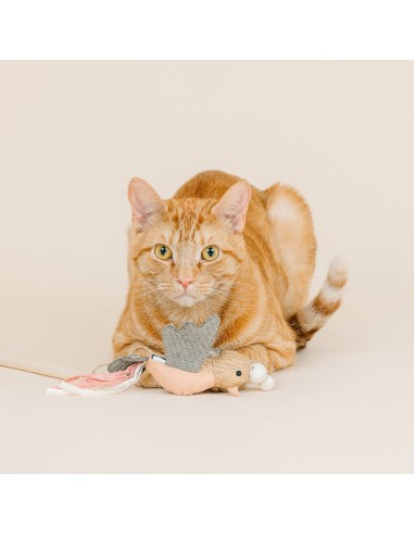 Taking Flight Earth Friendly Teaser Cat Toy