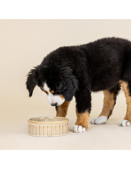Vert Stripes Buff Medium Dog Bowl