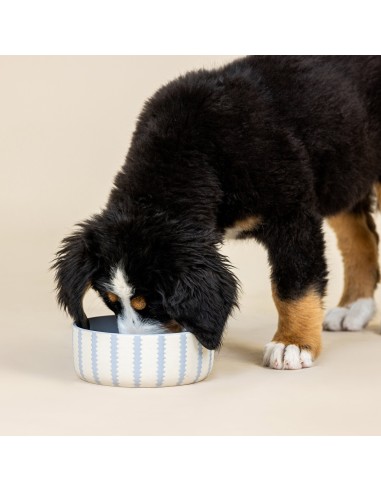 Rounded Scallop Powder Blue Medium Dog Bowl