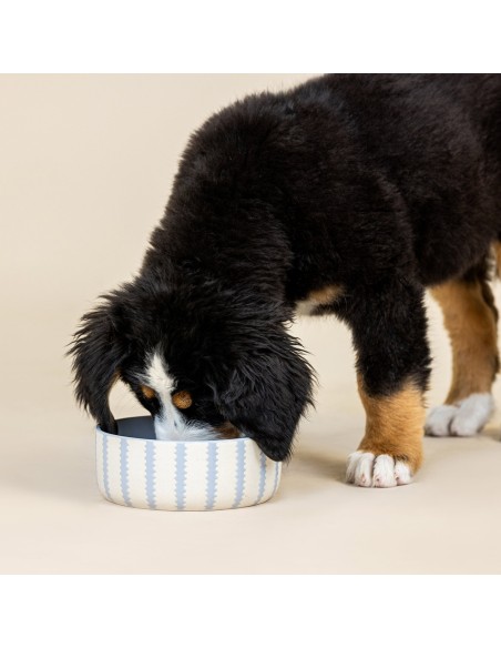 Rounded Scallop Powder Blue Medium Dog Bowl