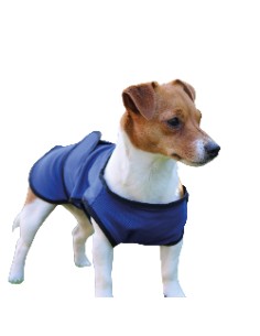 Dog Cool Coat Size - S