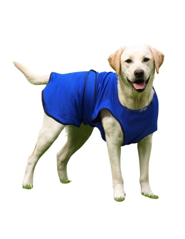 Dog Cool Coat Size - L