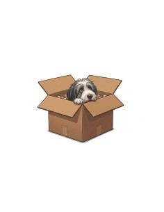 Sample Box - Small