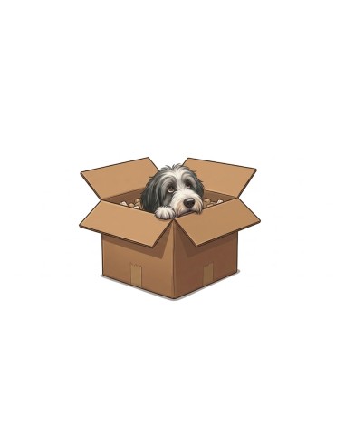 Sample Box - Small