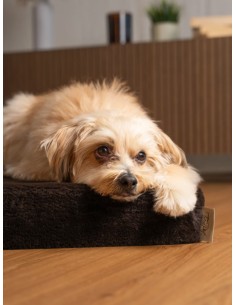 VitaMedog - Bruin - 50x35/7cm 2