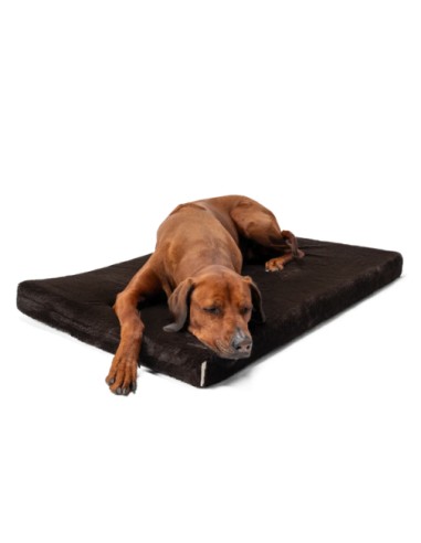 VitaMedog - Bruin - 60x45/7cm