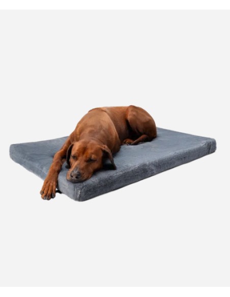 VitaMedog - Grau - 75x55/7cm