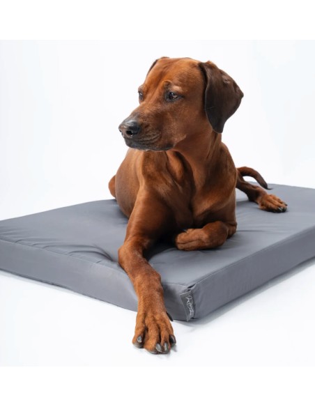 VitaMedog WET - Grijs - 75x55/7cm