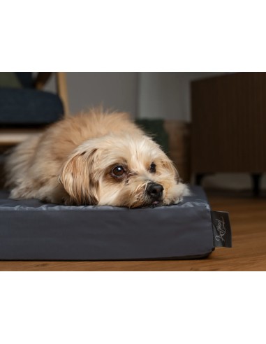 VitaMedog WET - Grey - 90x65/7cm