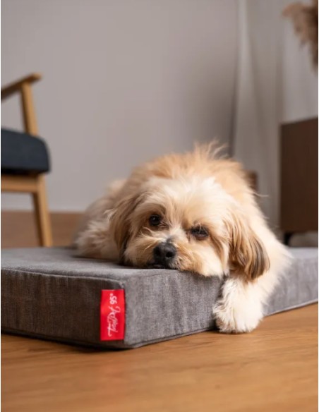 VitaMedog 95° - Grey - 110x70/7cm