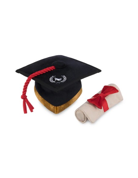 PLAY Back To School - Graduation Hat