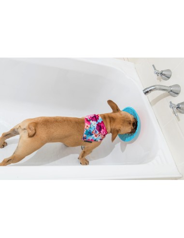 Lickimat - Splash - 19cm