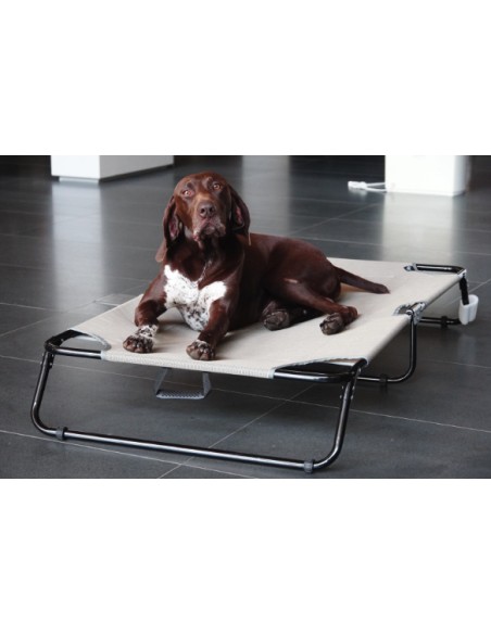 Petique Elevated Pet Bed - L