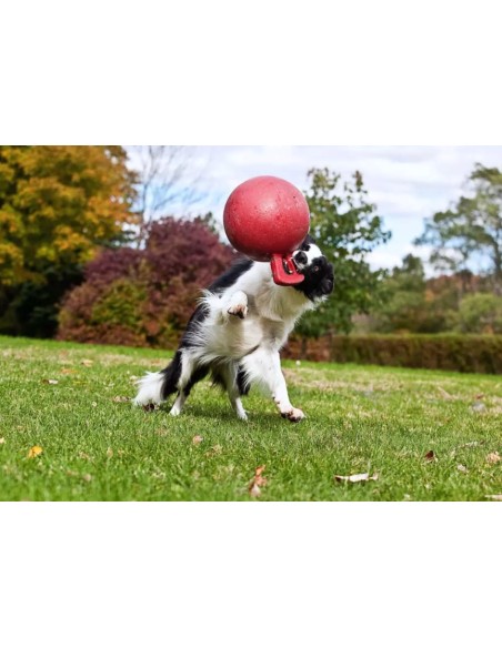 Jolly Tug-n-Toss - Rood - XL (25 cm)