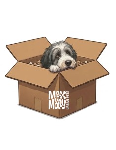 Max & Molly Mystery Box