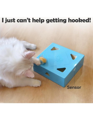 MigiPaws - Smart Box - Blau