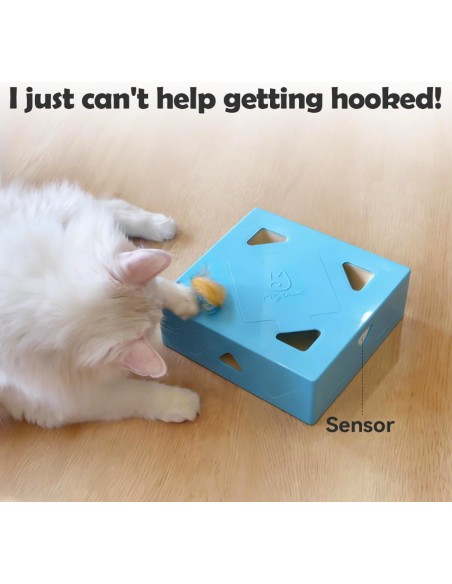 MigiPaws - Smart Box - Blue