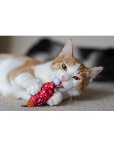 PLAY Feline Frenzy - Cat Toy - Meowy Christmas