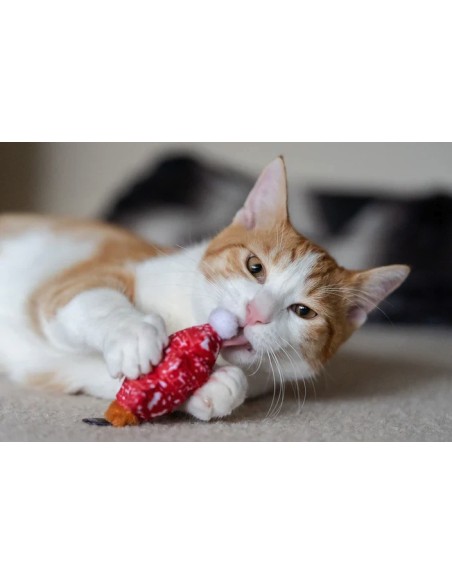 PLAY Feline Frenzy - Cat Toy - Meowy Christmas