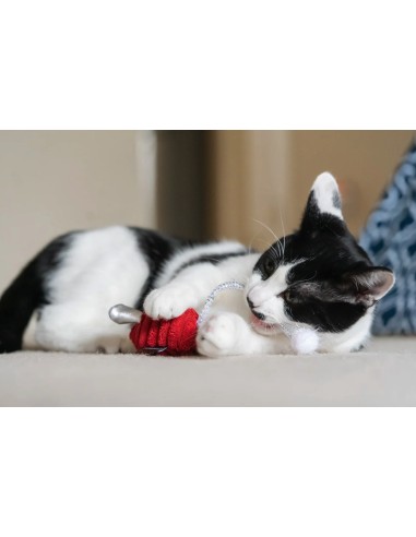 PLAY Feline Frenzy - Cat Toy - Twice as Mice