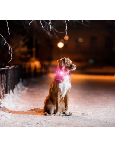 Matrix 2.0 Ultra LED - Safety light - Multi-Color (5-in-1)
