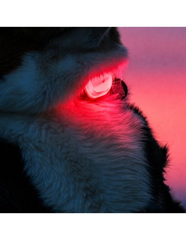 Matrix 2.0 Ultra LED - Safety light - Multi-Color (5-in-1)