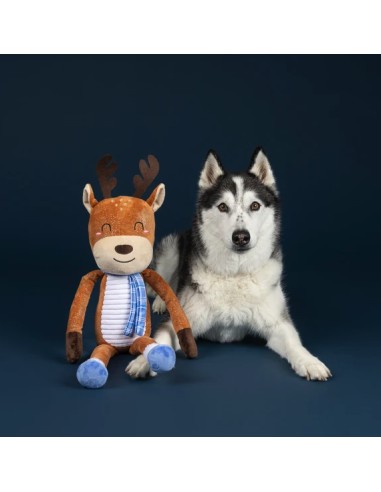 Dashin' Around Large Plush Dog Toy