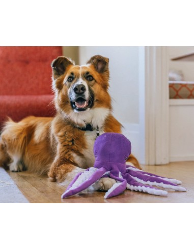PLAY Ocean Buddies - Opal the Octopus