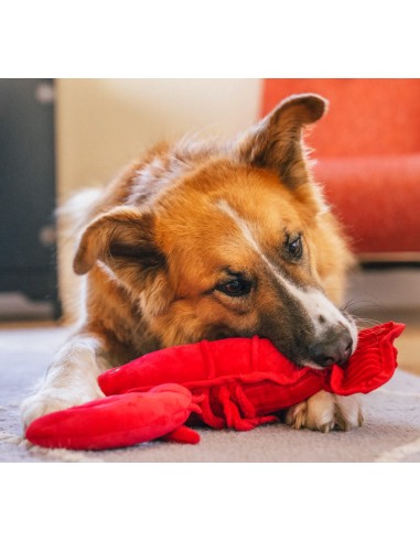 PLAY Ocean Buddies - Lemmy the Lobster