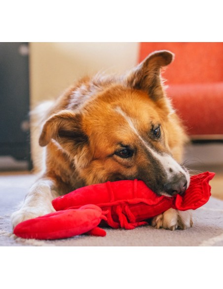 PLAY Ocean Buddies - Lemmy the Lobster
