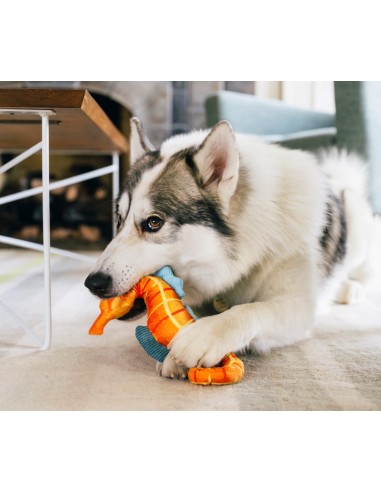 PLAY Ocean Buddies - Seahorse