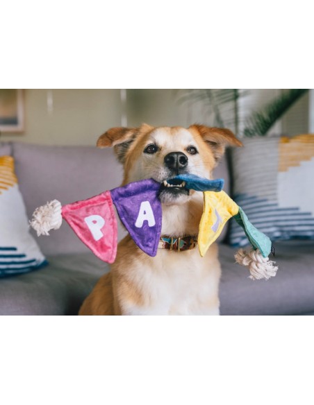 PLAY Party Animal - Tug n’ Party Banner