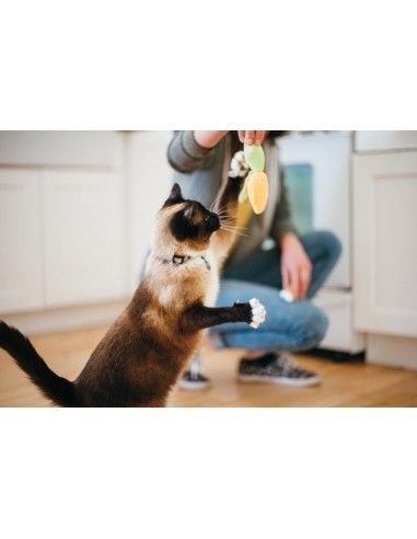 PLAY Feline Frenzy - Cat Toy - BBQ Set