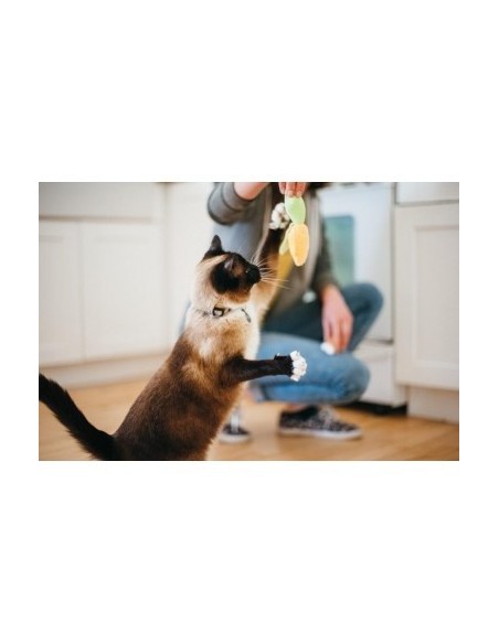 PLAY Feline Frenzy - Cat Toy - BBQ Set