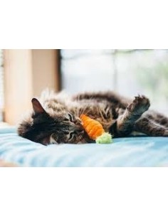 Feline Frenzy - Cat Toy - Garden Fresh 2