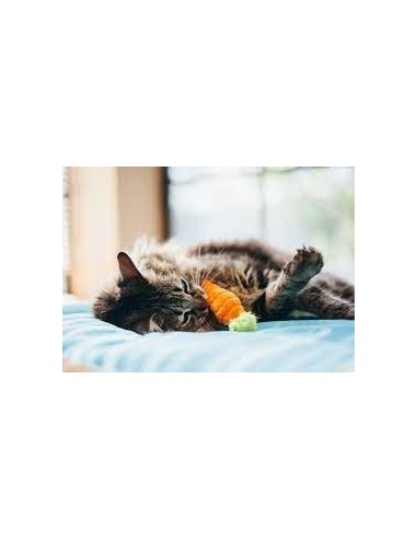 PLAY Feline Frenzy - Cat Toy - Garden Fresh