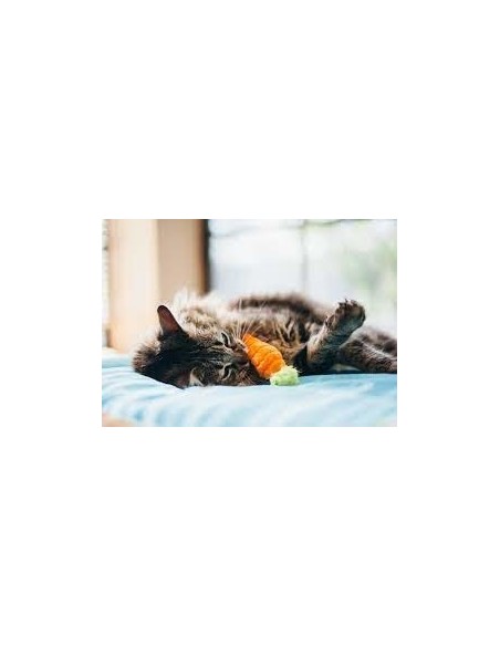 PLAY Feline Frenzy - Cat Toy - Garden Fresh