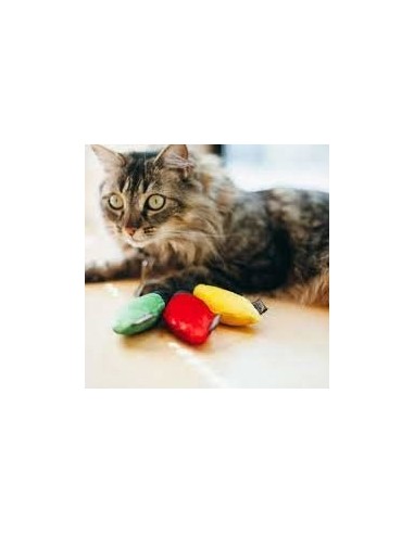 PLAY Feline Frenzy - Cat Toy - Christmas Lights
