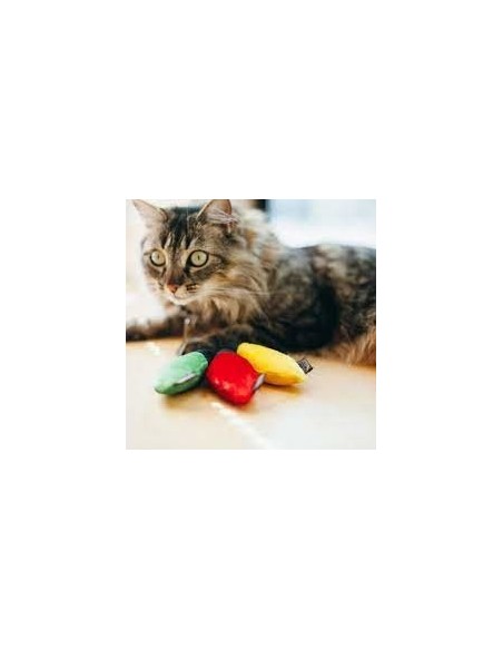 PLAY Feline Frenzy - Cat Toy - Christmas Lights