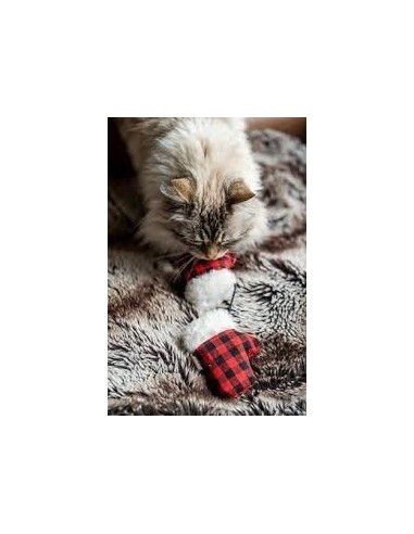 PLAY Feline Frenzy - Cat Toy - Kitty Mitten