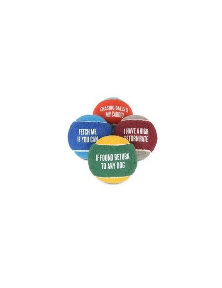 PLAY Dog Toy Dog Tennis Ball (4pcs pack)