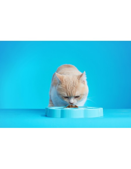PAW 2-in-1 for Cat Slow Feeder & Lick Pad